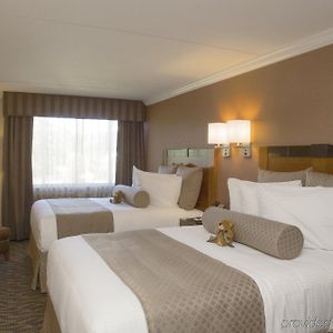 Premier Queen Room
